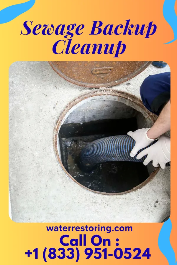 Sewage Backup Cleanup in Calion, AR