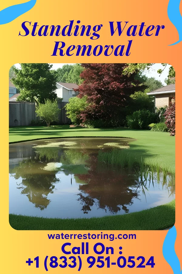 Standing Water Removal in Calion, AR